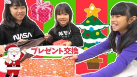 クリスマス★プレゼント交換★にゃーにゃちゃんねるnya-nya channel