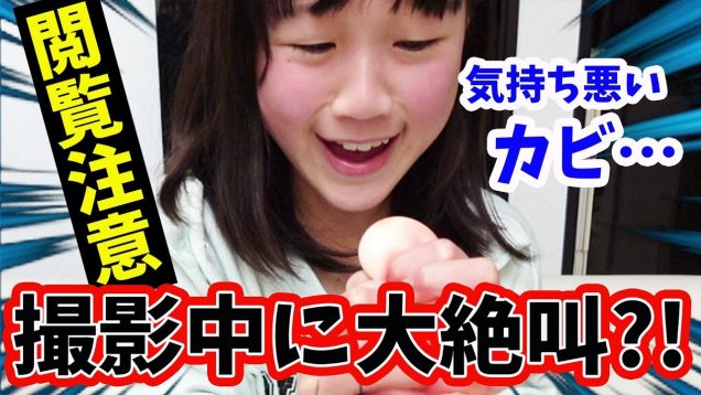 【閲覧注意】年末の大掃除？思わず大絶叫！大量のカビが大発生???【しほりみチャンネル】