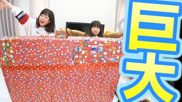 【クリスマス】超巨大！サンタさんが届けたプレゼントの中身が予想外すぎた【しほりみチャンネル】