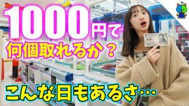 【クレーンゲーム】今月は1000円で何個取れるか？inエブリデイ【ももかチャンネル】
