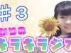 【作業用20分】ひかりの☆キラキラジオ☆  #3