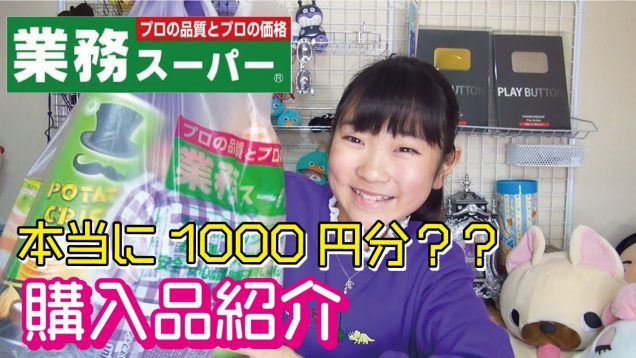 9個も買えた【業務スーパー】で1000円分購入品紹介