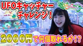 【挑戦】UFOキャッチャーチャレンジ！２０００円で何個取れるか！？