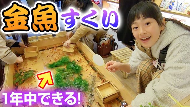 【金魚すくい】室内で1年中できる「浅草きんぎょ」で…まさかの結果w【Goldfish scooping in ASAKUSA】