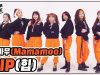 [DANCE COVER] MAMAMOO[마마무] _HIP[힙] 댄스커버 with 클레버레이션｜클레버TV