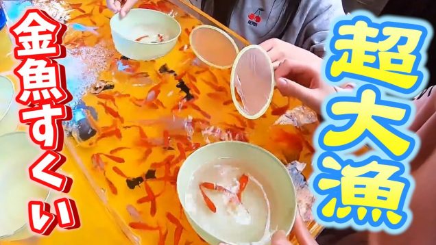 【お祭り】金魚すくいのコツは魚の呼吸！？大興奮の射的、ダーツ、ボール転がし総集編〜景品もらってのんびり屋台巡りの旅