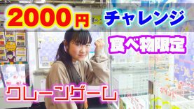 食べ物限定【クレーンゲーム】2000円チャレンジ　エブリデイとってき屋