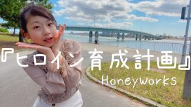 【踊ってみた】ヒロイン育成計画/HoneyWorks【ひかり】