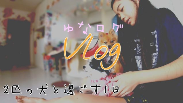 【Vlog】夢が叶った!?  2匹のわんちゃん達と過ごした1日! ★ゆなログ★