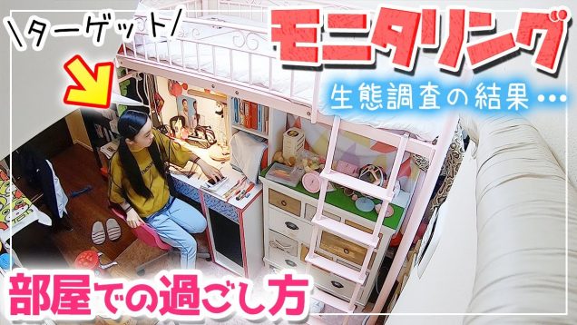 【モニタリング】部屋での1時間の過ごし方を観察したら…ほぼアレだった！【ルーティン】