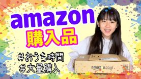 【大量購入】Amazonで1万円使って自由にお買い物！