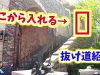 【知ってた⁉️】東京ディズニーシーで入場ゲートを並ばずに階段から入る方法やディズニーランドのファストパス発券ルール総まとめ【しほりみチャンネル】