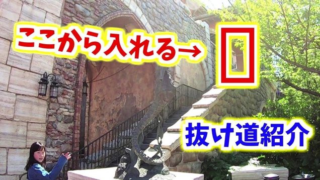 【知ってた⁉️】東京ディズニーシーで入場ゲートを並ばずに階段から入る方法やディズニーランドのファストパス発券ルール総まとめ【しほりみチャンネル】