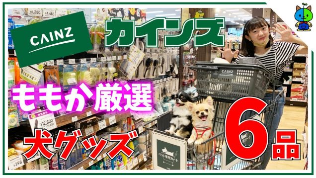 【カインズ】私が選んだ犬グッズ6品！これはオススメだワン?【ももかチャンネル】