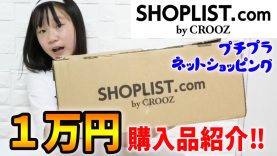 【プチプラ】SHOPLISTで１万円！洋服を購入したので紹介します！【ネットショッピング】【しほりみチャンネル】