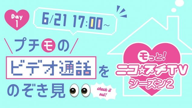 【プチ㋲のビデオ通話をのぞき見?㊙️】みんなからの質問に答えます?‍♀️!!