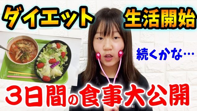 ダイエット生活スタート！まずは３日間の食事を紹介【しほりみチャンネル】