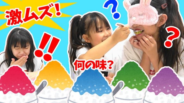 どれも同じ味なの？！かき氷の味あてに挑戦したら激ムズすぎた★にゃーにゃちゃんねるnya-nya channel