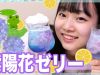 【深夜のお家カフェ】超簡単！紫陽花ゼリー✨【ANN & RYO 】