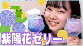 【深夜のお家カフェ】超簡単！紫陽花ゼリー✨【ANN & RYO 】