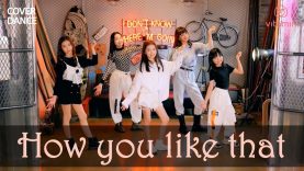 BLACKPINK [블랙핑크] – “How you like that” 댄스커버 with VITAMIN [비타민] / K-POP DANCE COVER｜클레버TV