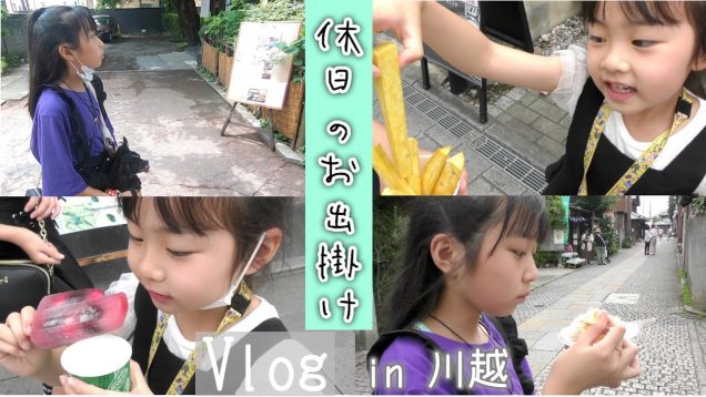 【休日Vlog】久しぶりのお出掛けでしたが、ものすごい蒸し暑さでした・・・からの最近のしのが好きなあの子を探しに行ってきました【ハピバニチャンネル】