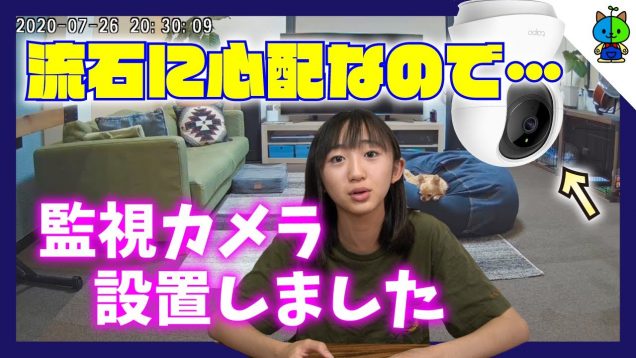 【防犯】いつでも外出先から丸麦を監視?なんとお値段3500円！【ももかチャンネル】