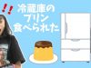 【寸劇】冷蔵庫のプリン食べられた！犯人はどこに隠れてるの？★にゃーにゃちゃんねるnya-nya channel