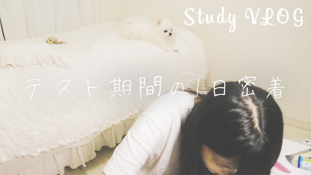 Study vlog)高校1年生のテスト期間の1日に密着。