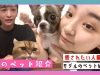 【ペット紹介】中学生モデルの愛犬と愛猫を紹介します! | ニコ☆プチTV