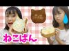 ここみ撃沈・・猫って難しい？ネコパン☆テレパシーチャレンジ★にゃーにゃちゃんねるnya-nya channel