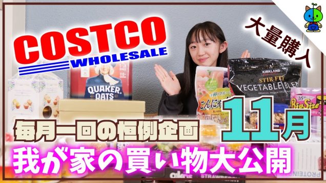 【コストコ】我が家のCOSTCO購入品紹介！2020年11月版【ももかチャンネル】