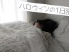 【vlog】ハロウィンのアレを作る宇田川ももかの1日密着