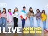 비타민, 피어스, 상욱 댄스 라이브♡ with 클레버TV(CLEVRTV)
