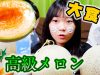 大食いチャレンジ！北海道の高級メロンどれだけ食べれるか！！