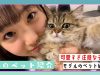 【ペット紹介】中学生モデルの可愛すぎる子猫を紹介| ニコ☆プチTV