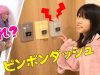 【寸劇】ドアにチャイムがいっぱい？！あなた誰？ピンポンダッシュしちゃえ★にゃーにゃちゃんねるnya-nya channel