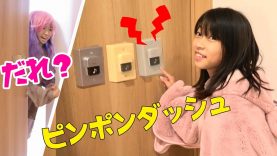 【寸劇】ドアにチャイムがいっぱい？！あなた誰？ピンポンダッシュしちゃえ★にゃーにゃちゃんねるnya-nya channel