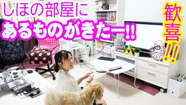 【歓喜】しほの部屋にあるものがきましたー！！とある日のVlog！(小学５年生女子のお部屋)【しほりみチャンネル】