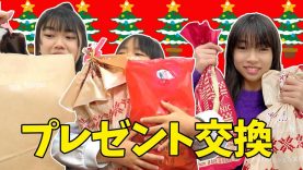 クリスマスのプレゼント交換★予算はくじ引き★にゃーにゃちゃんねるnya-nya channel