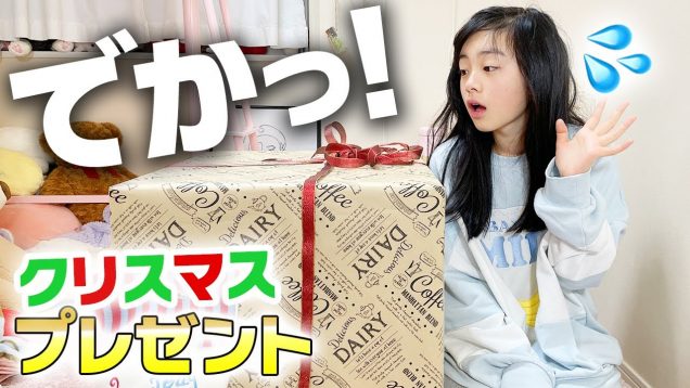 サンタさんから巨大なクリスマスプレゼント！？開封して中身紹介します！（早朝）