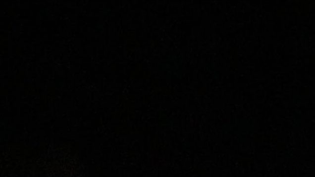 ママの誕生日プレゼントを忘れてしまいました。。。ママブチギレ?