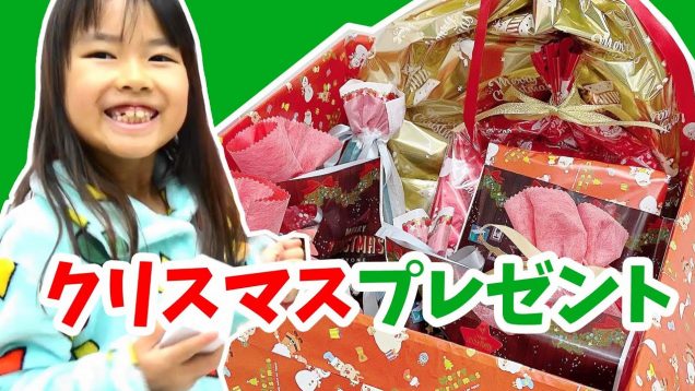 意外過ぎ？！今年はどんなクリスマスプレゼントをもらったのかな？★にゃーにゃちゃんねるnya-nay channel