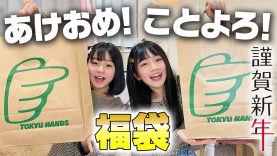 【2021年】東急ハンズの文房具系福袋を開封♪今年もひまーるをよろしくお願いします！