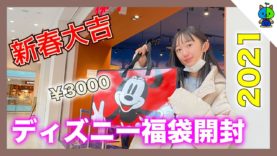 【2021福袋】ディズニーストアの3000円の福袋の中身がエグかった！強運【ももかチャンネル】