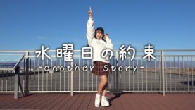 【踊ってみた】水曜日の約束-another story-【MINAMI】