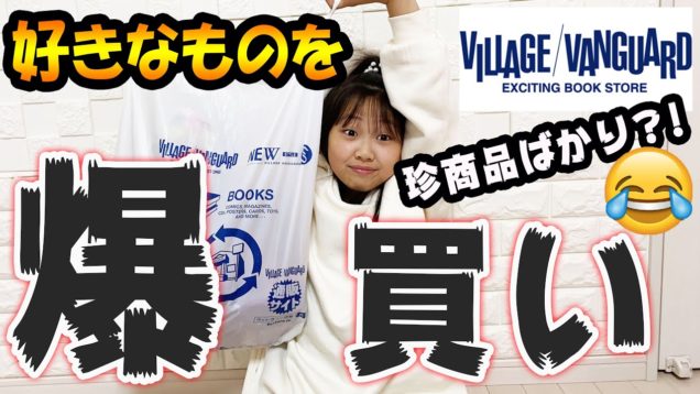 【ヴィレヴァン購入品】ヴィレッジヴァンガードで珍商品？！買ってみたので紹介します！【しほりみチャンネル】