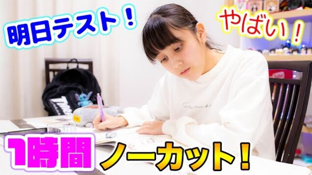 明日はテスト！勉強をやらないとやばい！1時間ノーカット！【テスト勉強】