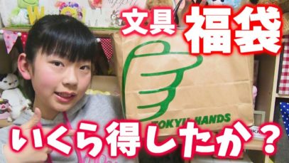 福袋でいくら得したか？【ハンズ文具編】