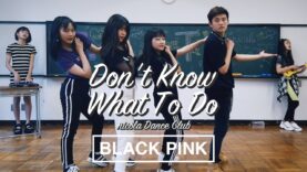 BLACKPINK – ‘Don’t Know What To Do’を 歌って踊ってみた【K-POP Dance charenge】